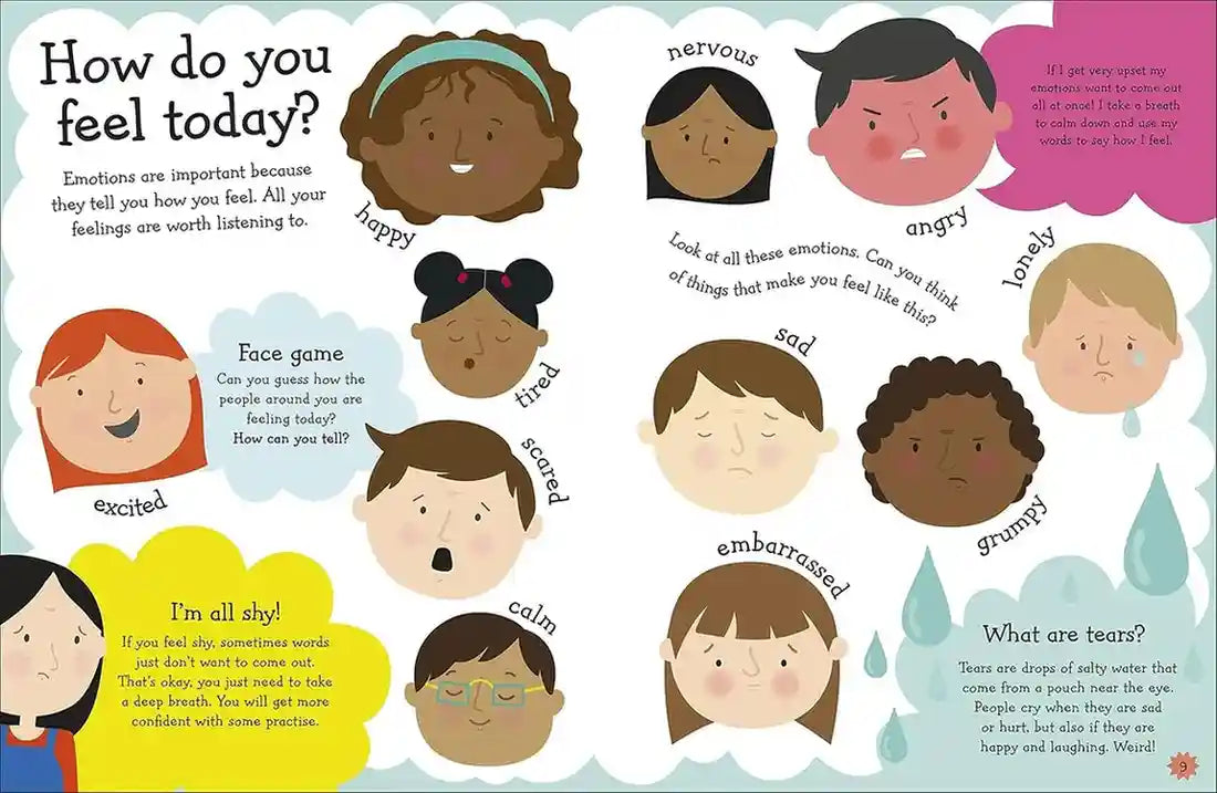 Educational poster about emotions with illustrated faces and text.