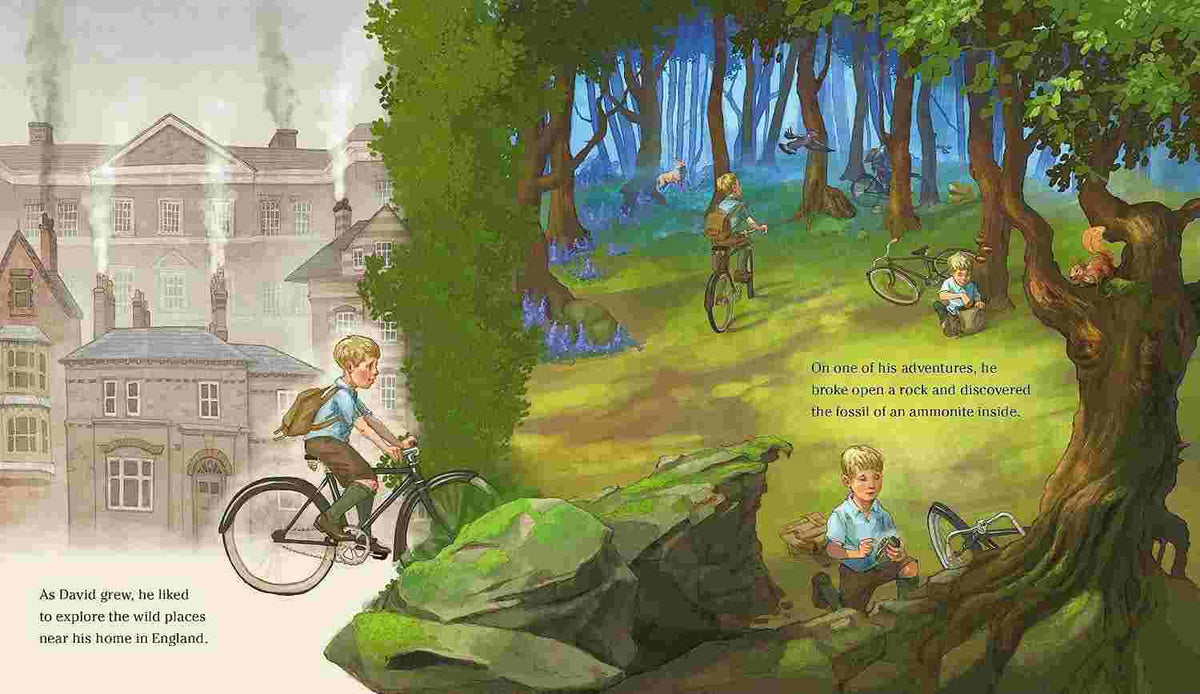 Wild Places – Hayley Rocco