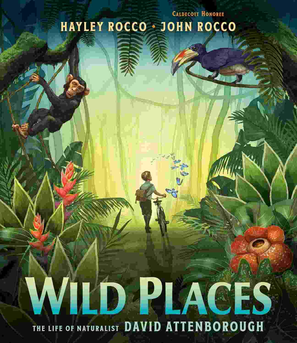 Wild Places – Hayley Rocco