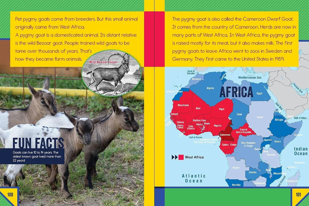 Book page about pygmy goats with text and a map of Africa.