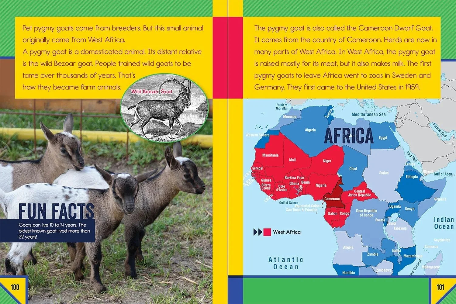 Book page about pygmy goats with text and a map of Africa.