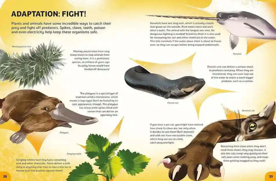 Your Expert Guide - Biology for Young Scientists