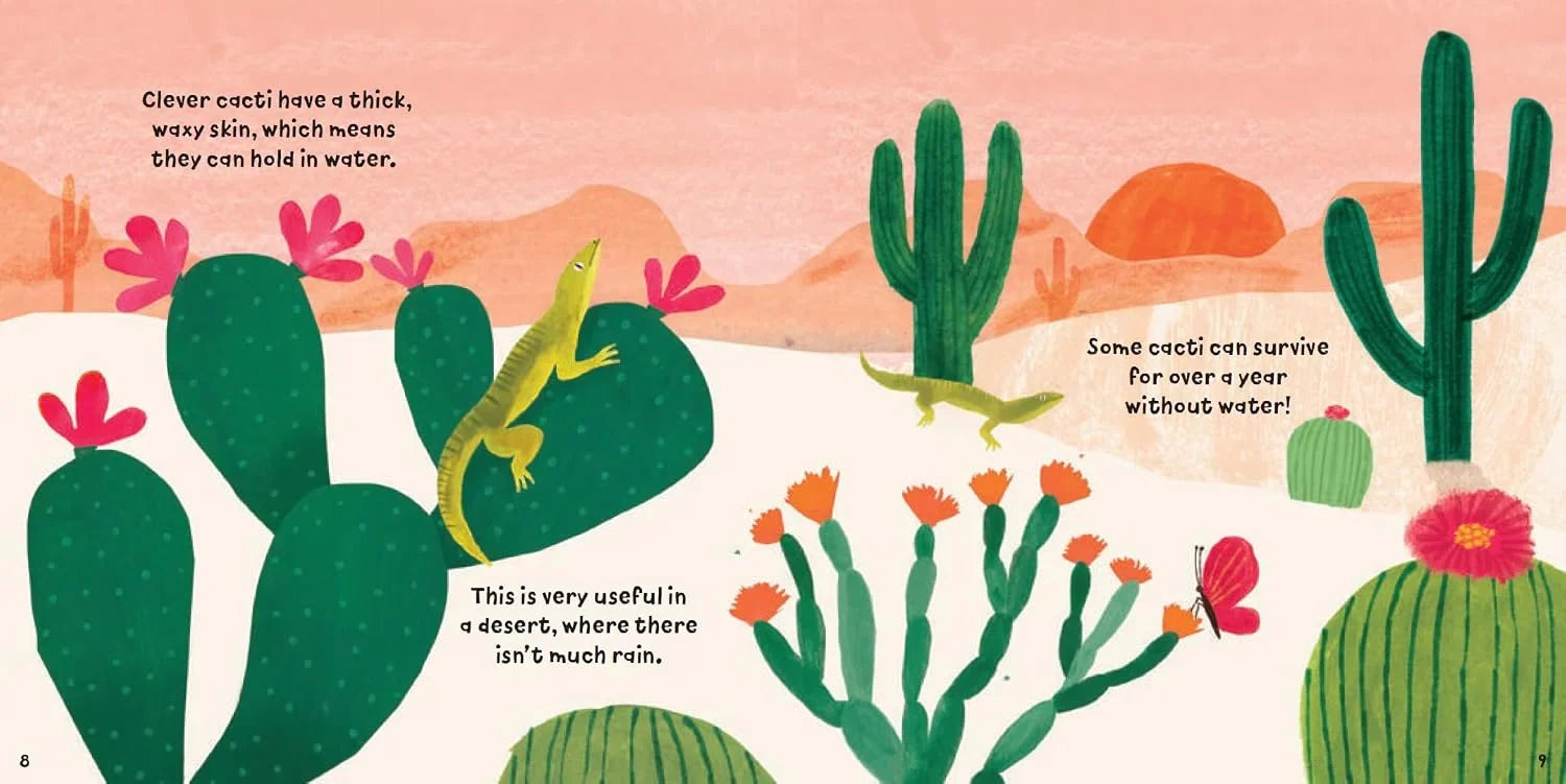 Clever Cacti
