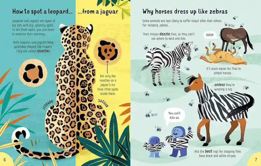 Illustrated book pages about leopards and horses, with colorful graphics and text.
